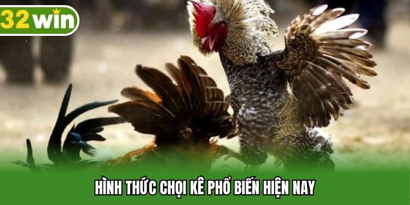 Hình thức chọi kê phổ biến hiện nay