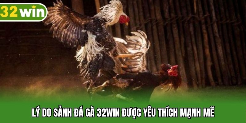 Lý do sảnh đá gà 32WIN được yêu thích mạnh mẽ