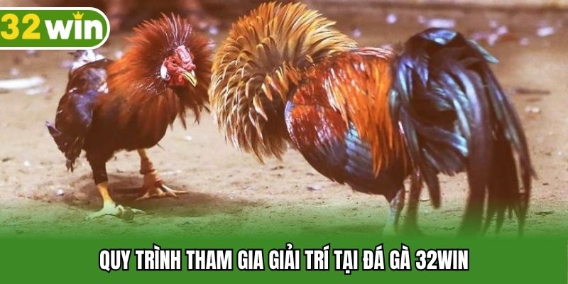 Quy trình tham gia giải trí tại đá gà 32WIN
