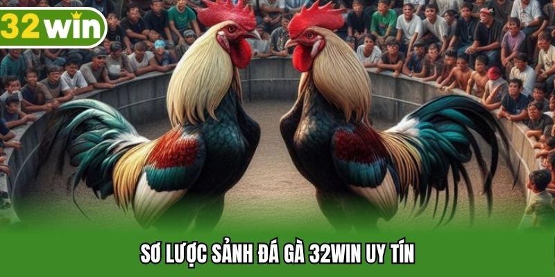 Sơ lược sảnh đá gà 32WIN uy tín