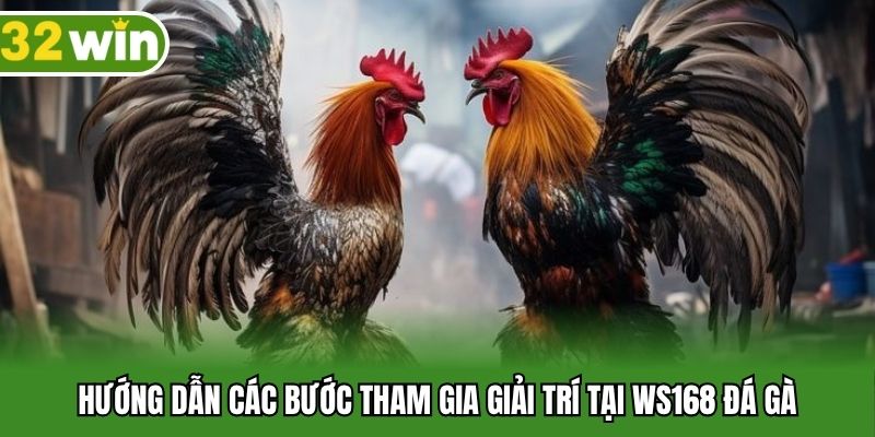 Hướng dẫn các bước tham gia giải trí tại WS168 đá gà
