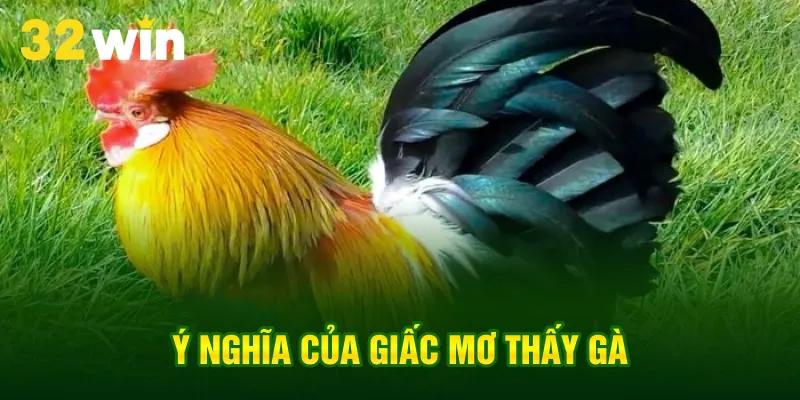 y-nghia-cua-giac-mo-thay-ga