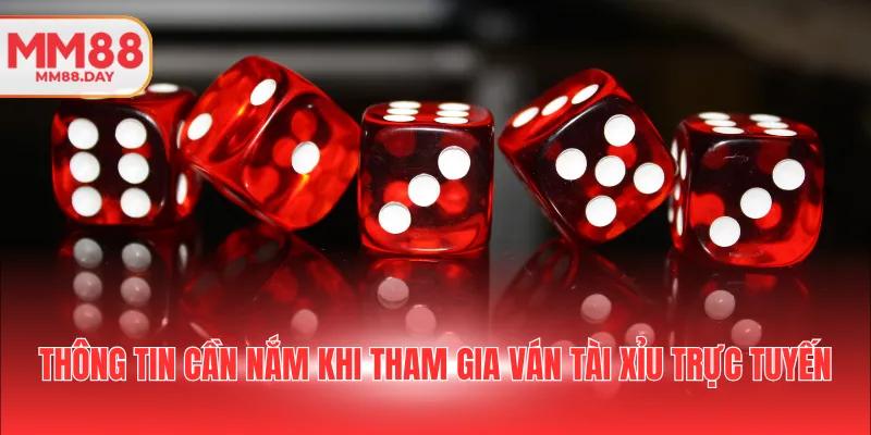 thong-tin-can-nam-khi-tham-gia-van-tai-xiu-truc-tuyen