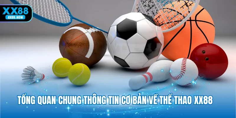 tong-quan-chung-thong-tin-co-ban-ve-the-thao-xx88